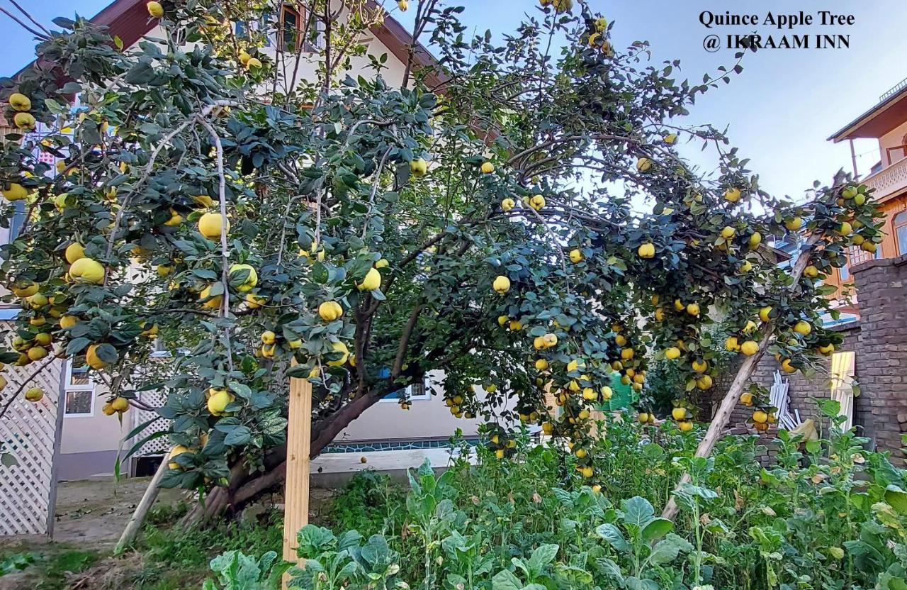 Ikraam Inn Bed & Breakfast Srīnagar Екстериор снимка